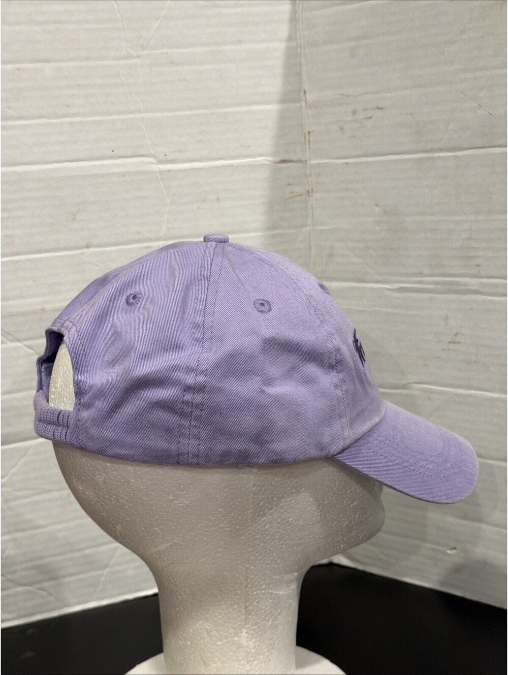 Winona State University Nursing Health Sciences STEM Program Purple Baseball Cap - Picture 4 of 6